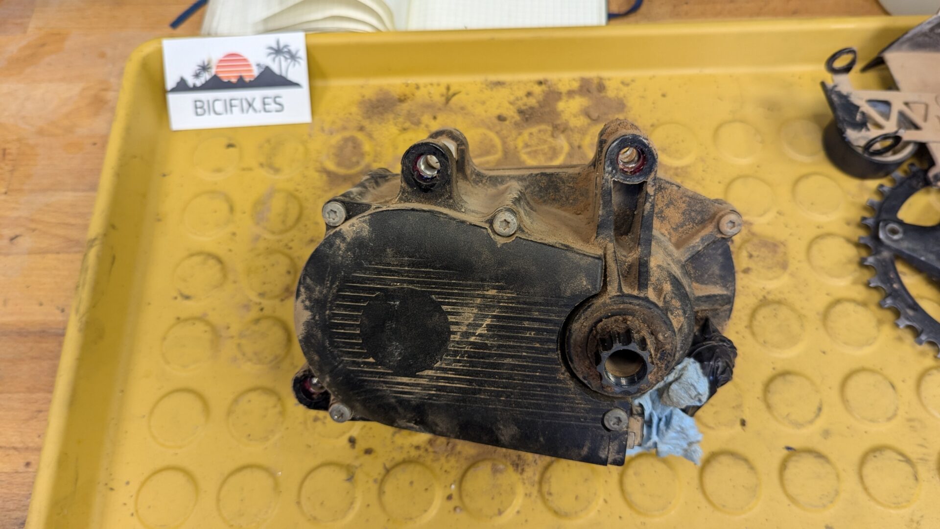 Brose-Motor Wartung