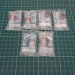 Komplettes Kit OIZ CARBON OMX-OMR 2023 2024
